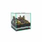 Preview: PLANTCUBE - Vivarium 20x20x20 Biom Bundle